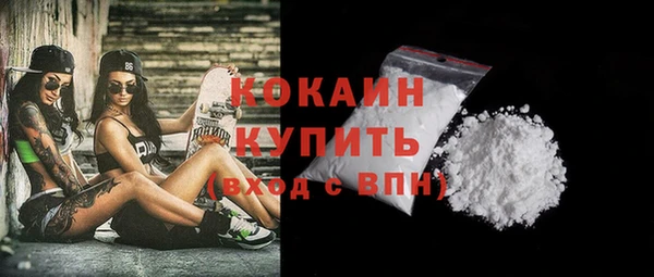 крисы Богородицк