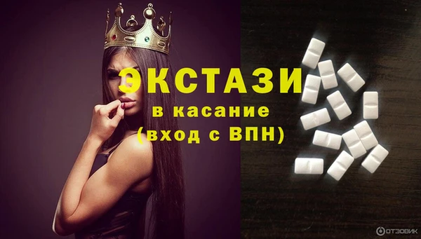стаф Богданович