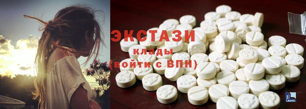 крисы Богородицк
