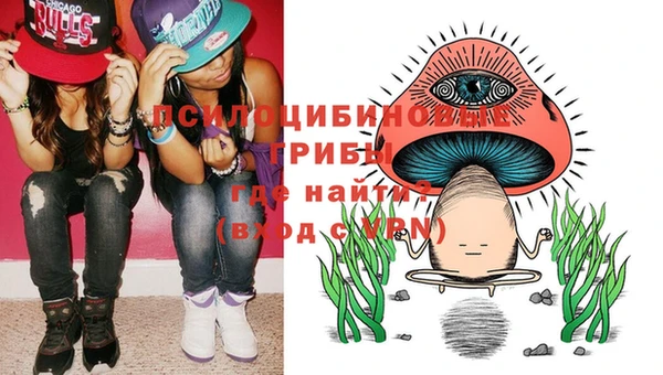 стаф Богданович