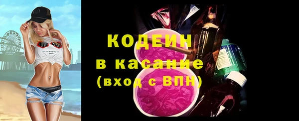 крисы Богородицк