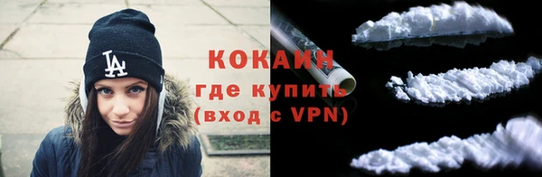 стаф Богданович
