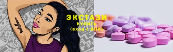 крисы Богородицк