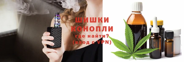 стаф Богданович