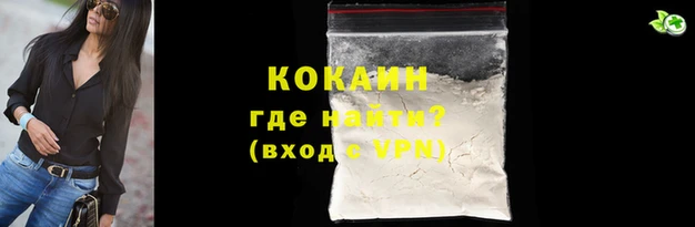 стаф Богданович