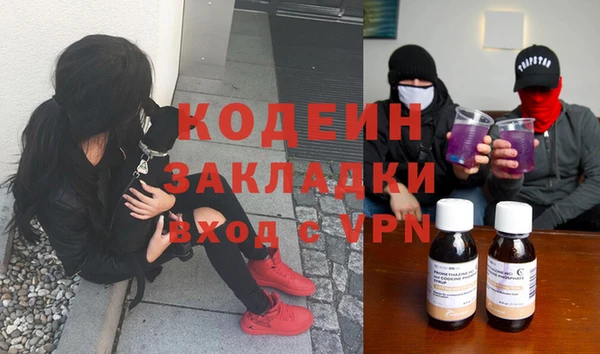 крисы Богородицк