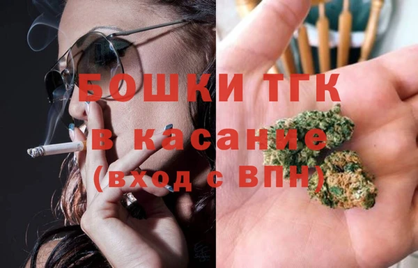 крисы Богородицк