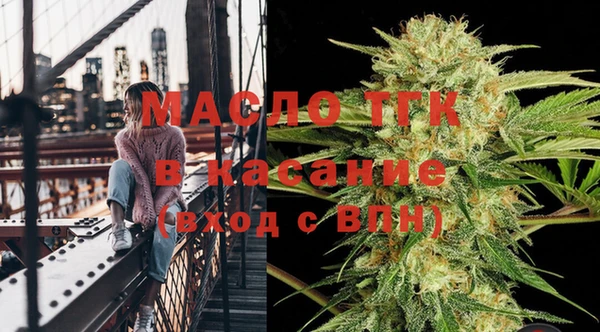 крисы Богородицк