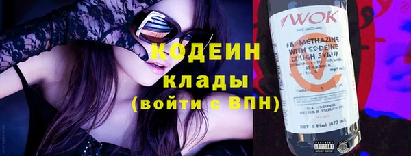 крисы Богородицк