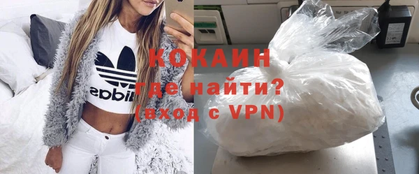 стаф Богданович
