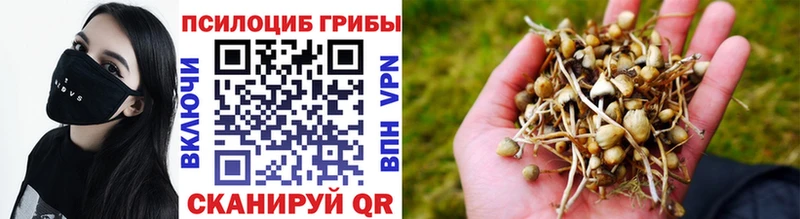 Галлюциногенные грибы MAGIC MUSHROOMS Менделеевск
