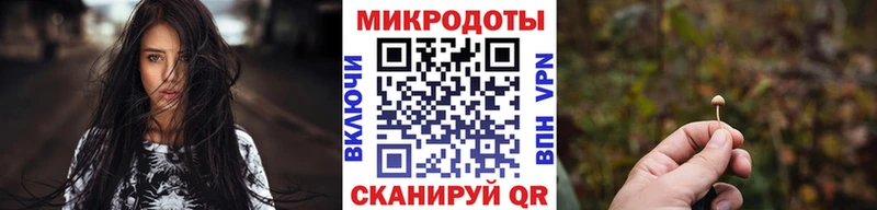 omg   Менделеевск  Галлюциногенные грибы Psilocybe 