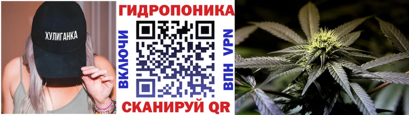 Каннабис план Менделеевск